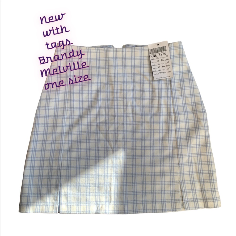 NWT BRANDY MELVILLE Skirt. One size.